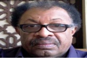 صورة المؤلف أمير تاج السر